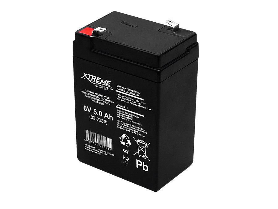 Batteria al gel con capacità di 5 Ah - 6 V AGM colore nero