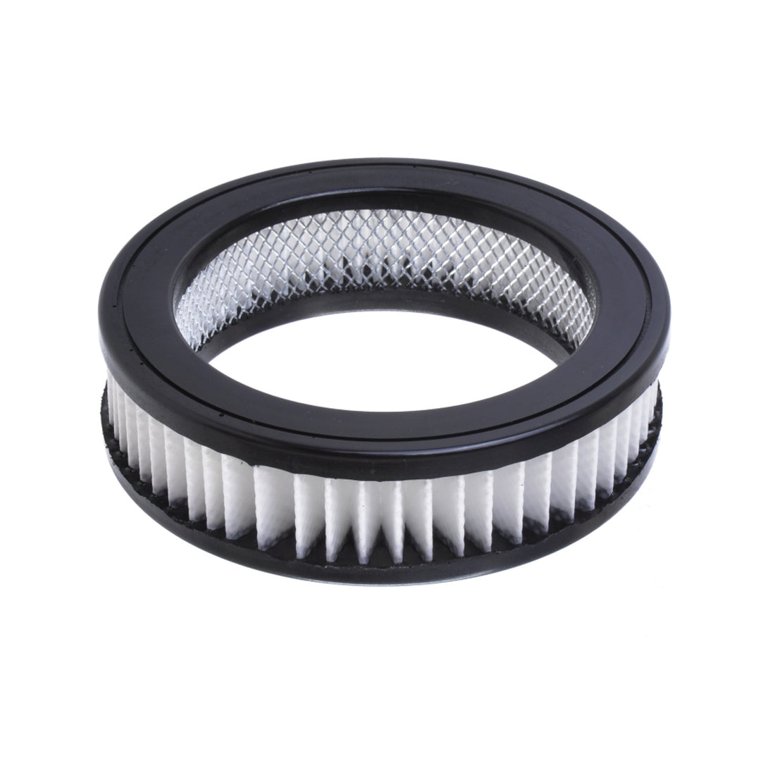 Filtro Hepa per l'aspirapolvere Concept Real Force VP6010