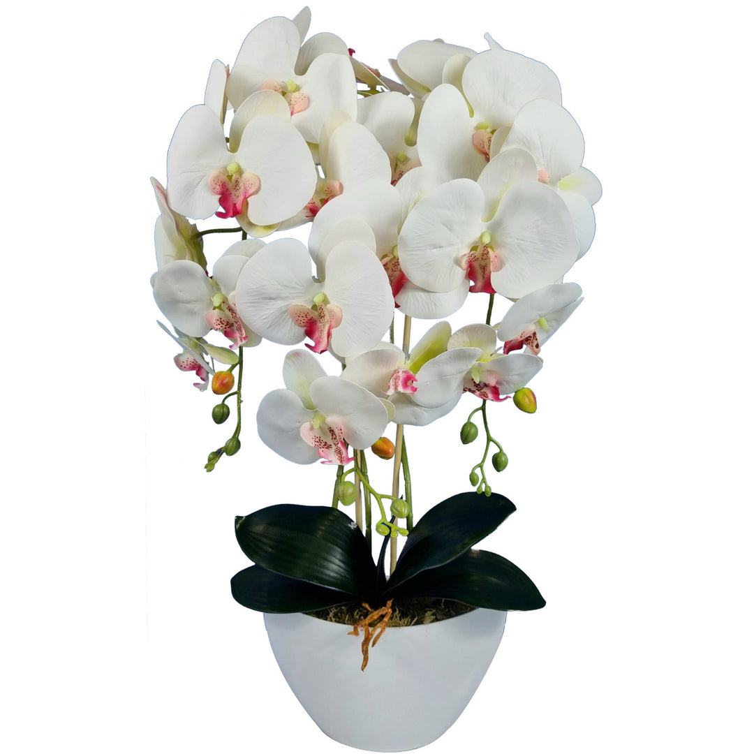Orchidea artificiale Damich, bianca, cuore rosa, in gomma, 3pgb2