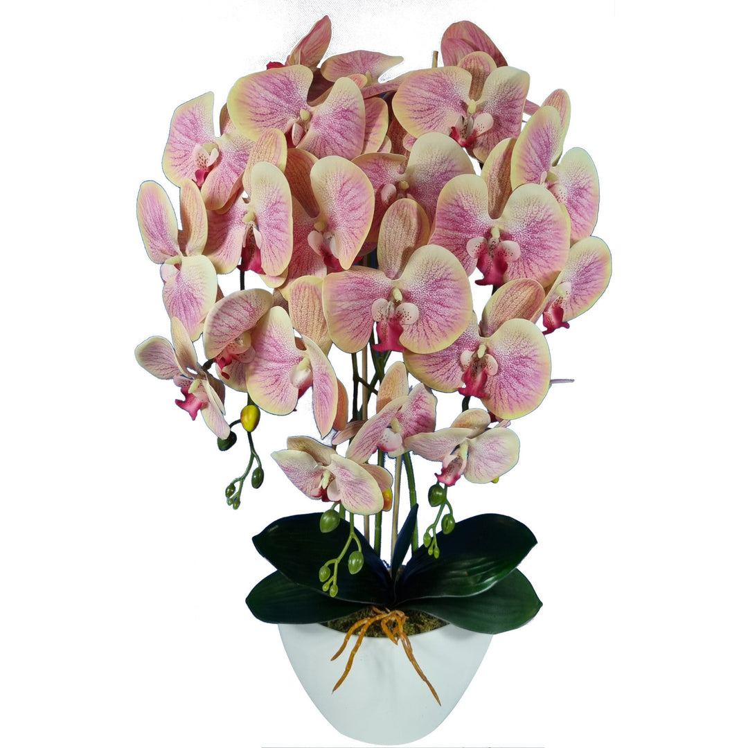 Orchidea artificiale Damich, albero del tè, in gomma, 3pgrz