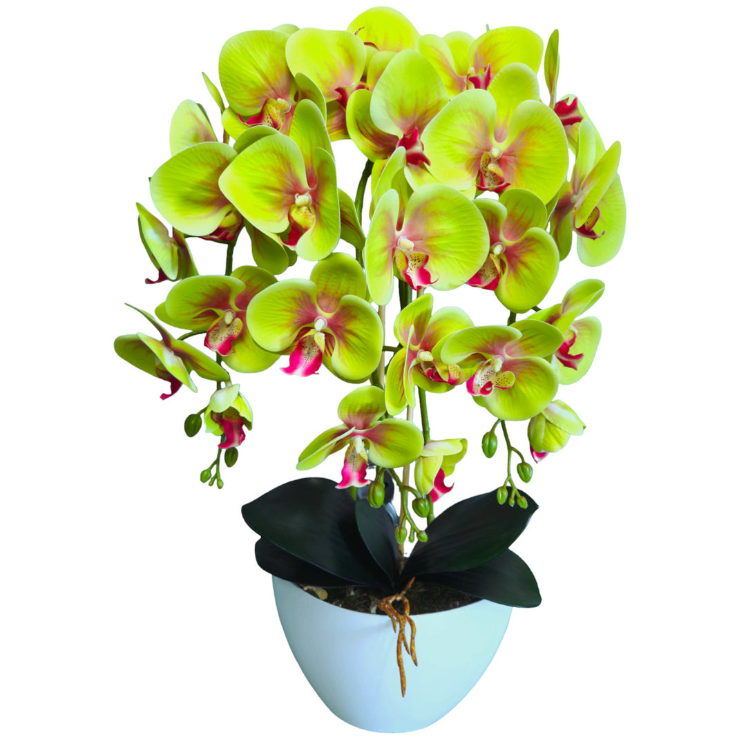 Orchidea artificiale Damich, verde, in gomma, 3pgz