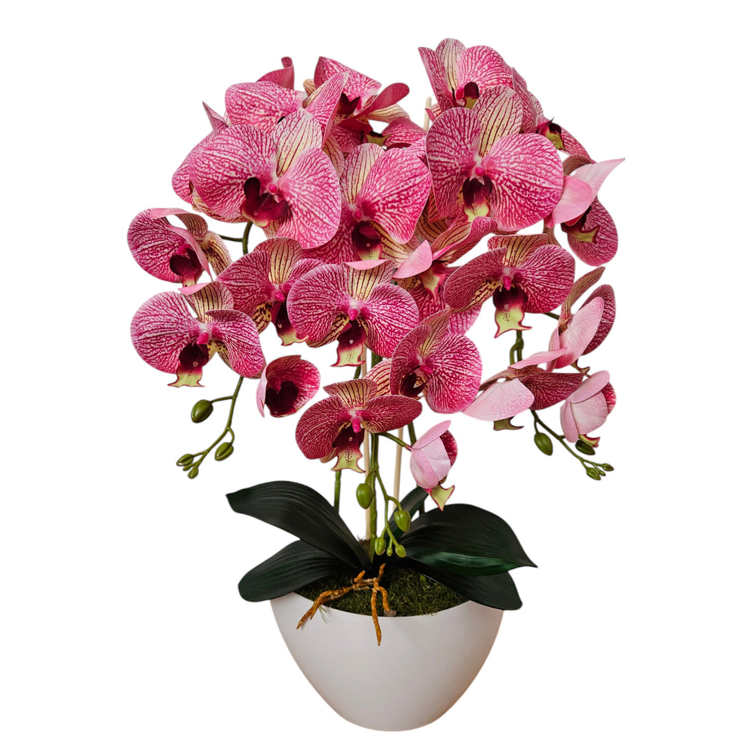 Orchidea artificiale Damich, in gomma, vaso bianco, 3pgrk2