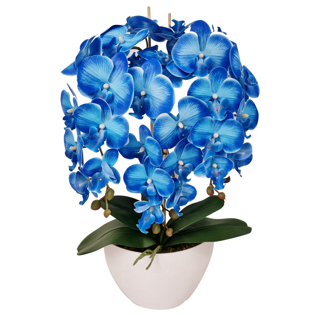 Orchidea artificiale Damich, in gomma, vaso bianco, 3pgnb