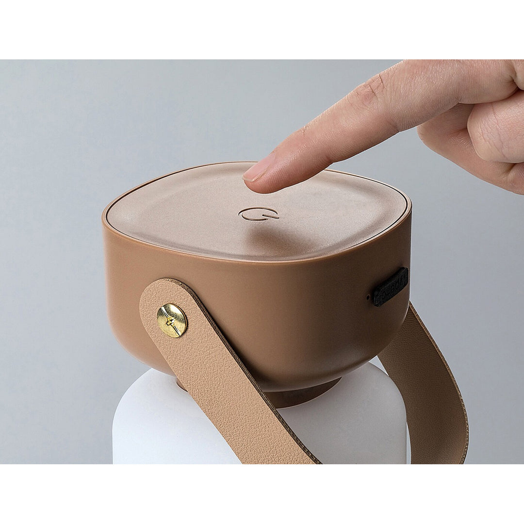 Lampada decorativa Rabalux, per esterni, IP44, 3W, marrone, Funes