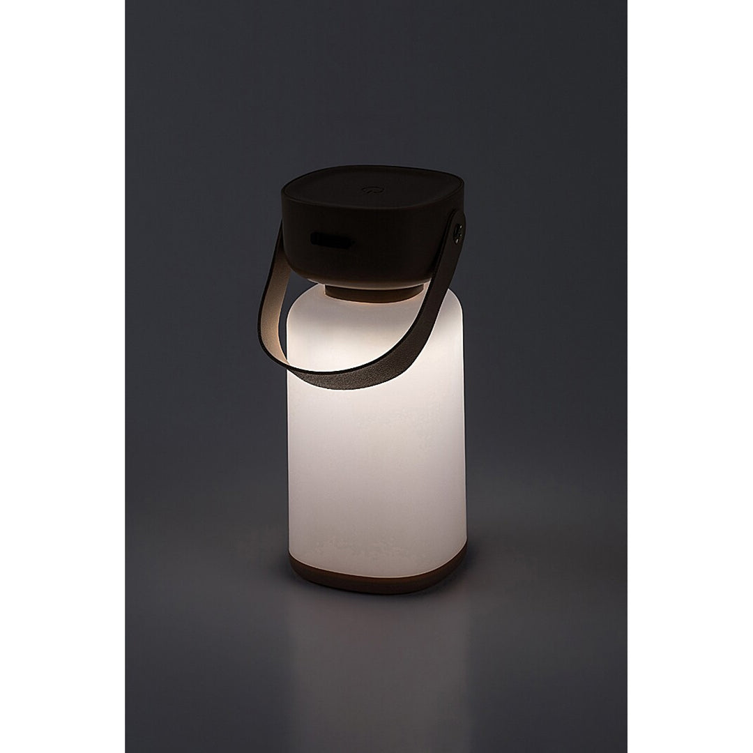 Lampada decorativa Rabalux, per esterni, IP44, 3W, marrone, Funes