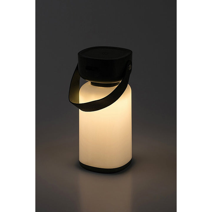 Lampada decorativa Rabalux, per esterni, IP44, 3W, verde, Funes