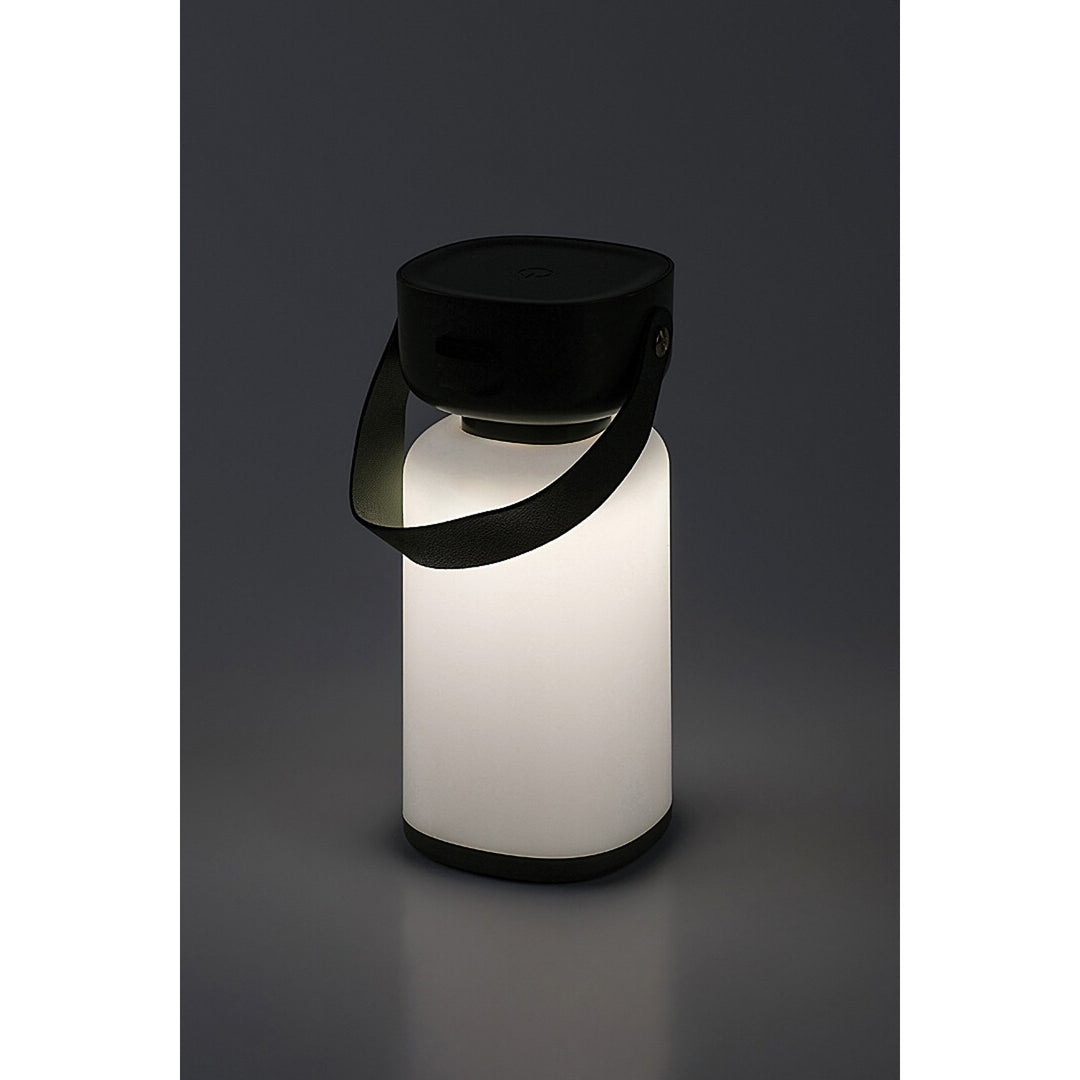 Lampada decorativa Rabalux, per esterni, IP44, 3W, verde, Funes