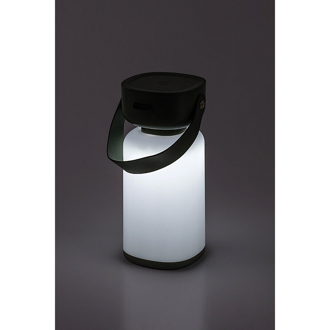 Lampada decorativa Rabalux, per esterni, IP44, 3W, verde, Funes