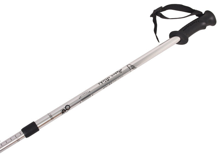 Bastoncini da nordic walking in alluminio 65-135 cm telescopici argento