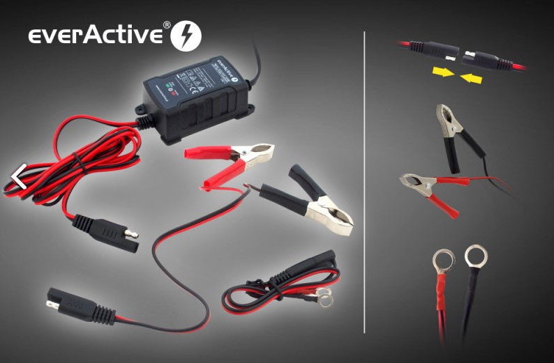 EverActive CBC  6 V 12 V