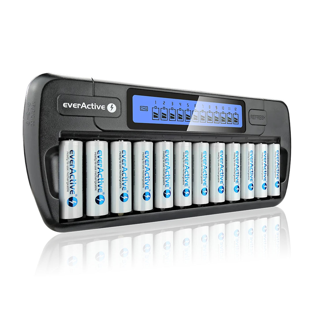 Caricabatterie professionale everActive NC-1200 da 12 batterie