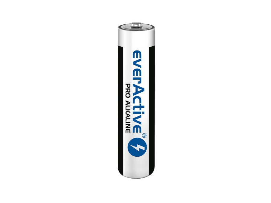 Batterie Ministilo  alcaiche everActive LR03 AAA Set di 10 batterie