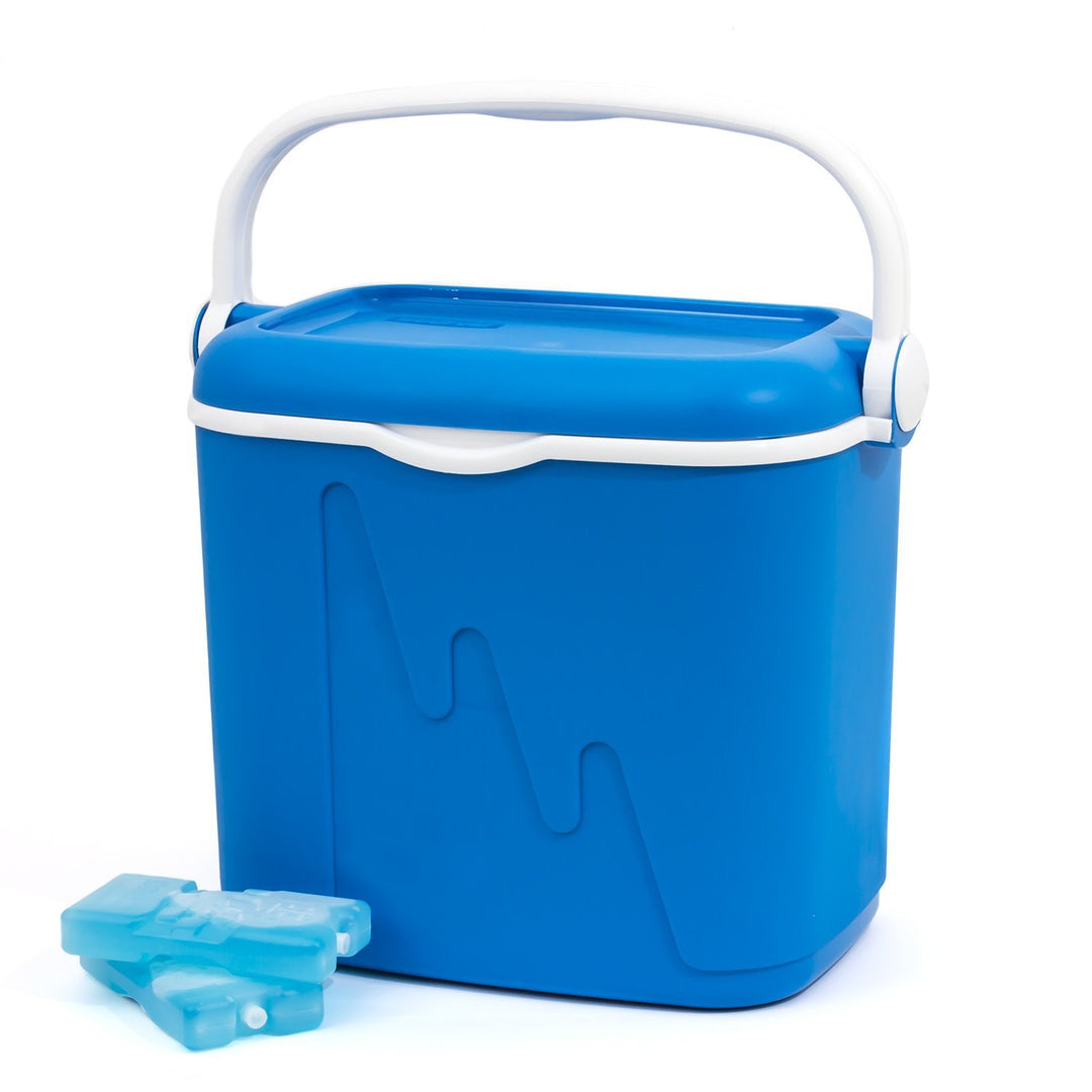 Frigorifero Portatile Curver Contenitore termico da  32l