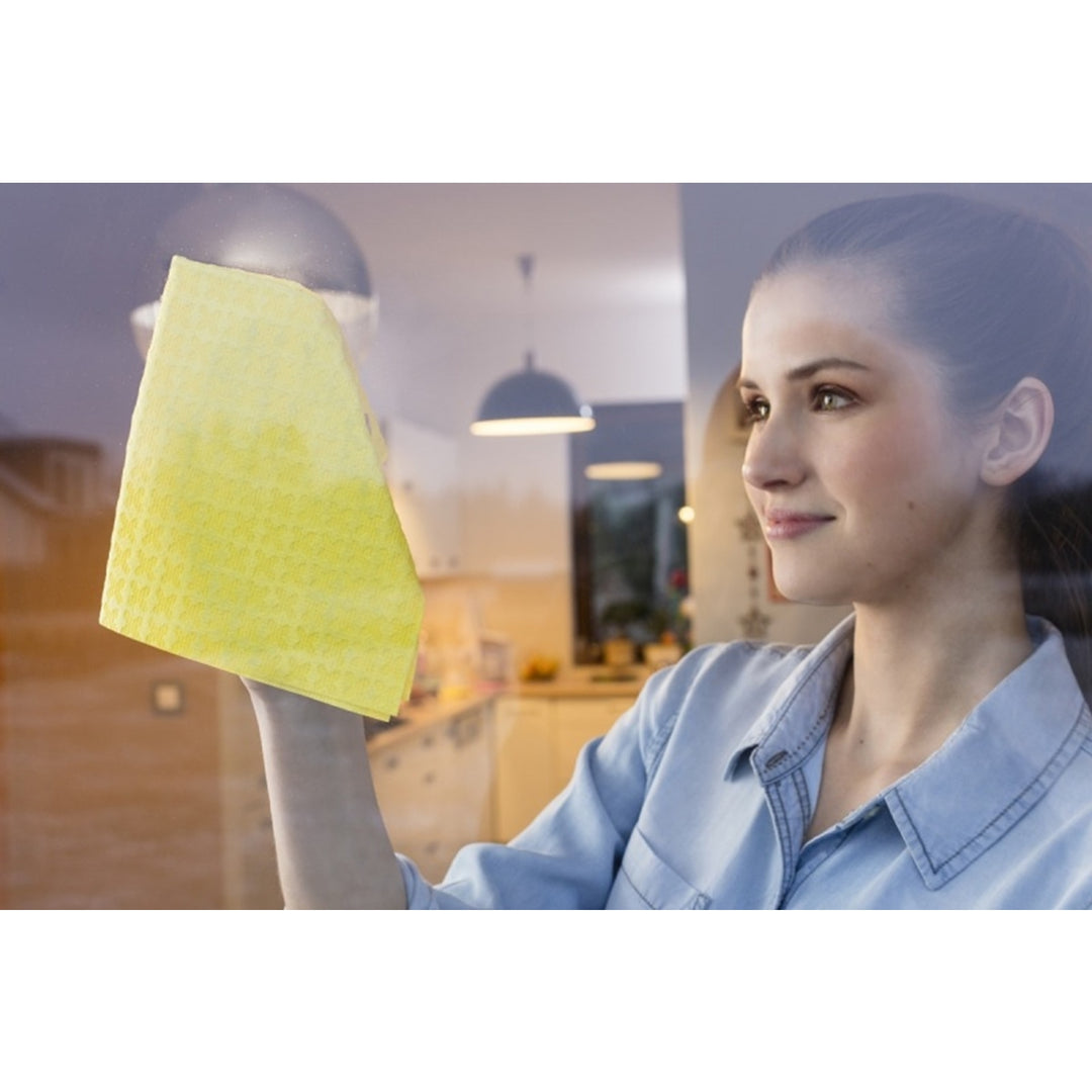 Vileda Actifibre Special Window Wiper VILEDA Actifibre Microfibra