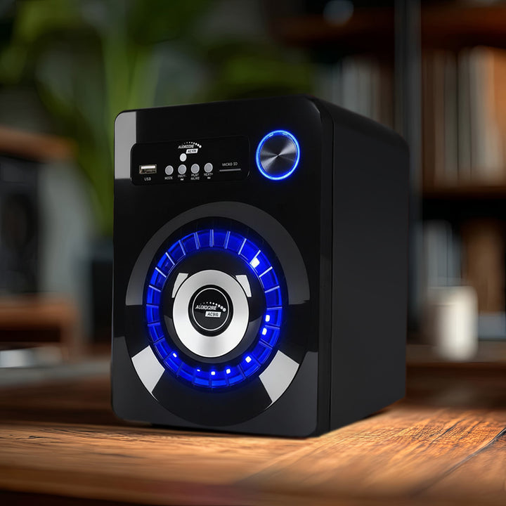 Altoparlante Bluetooth 2.1 Audiocore AC910 Radio FM, ingresso scheda TF, AUX, alimentazione USB