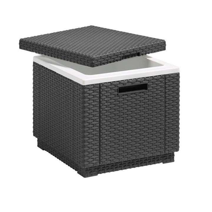 Frigo da giardino quadrato Keter Allibert Ice Cube grafite
