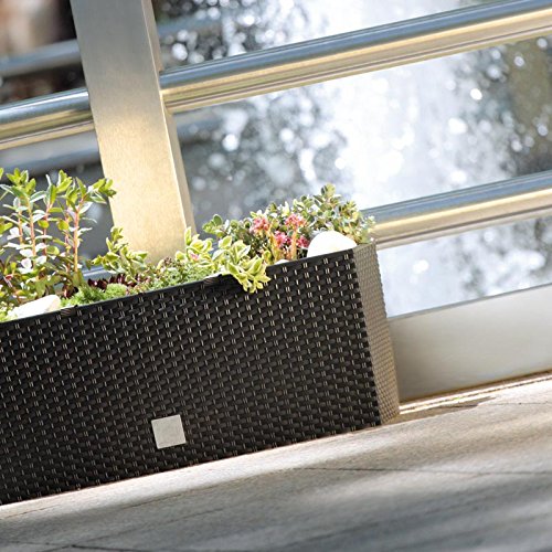 Prosperplast Rato Case DRTC500 440U umbra