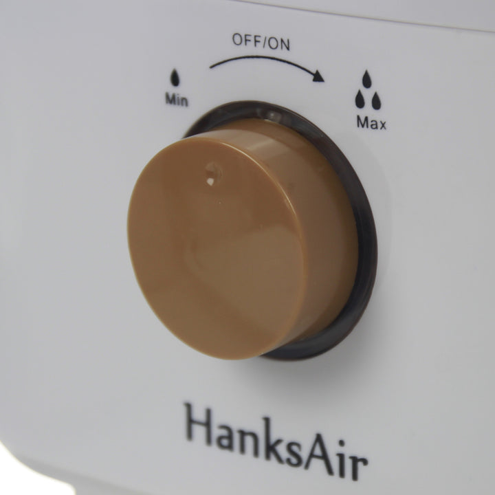 Umidificatore Hanks Air, a ultrasuoni, filtro in ceramica, 3,2L, ARTNAW-05
