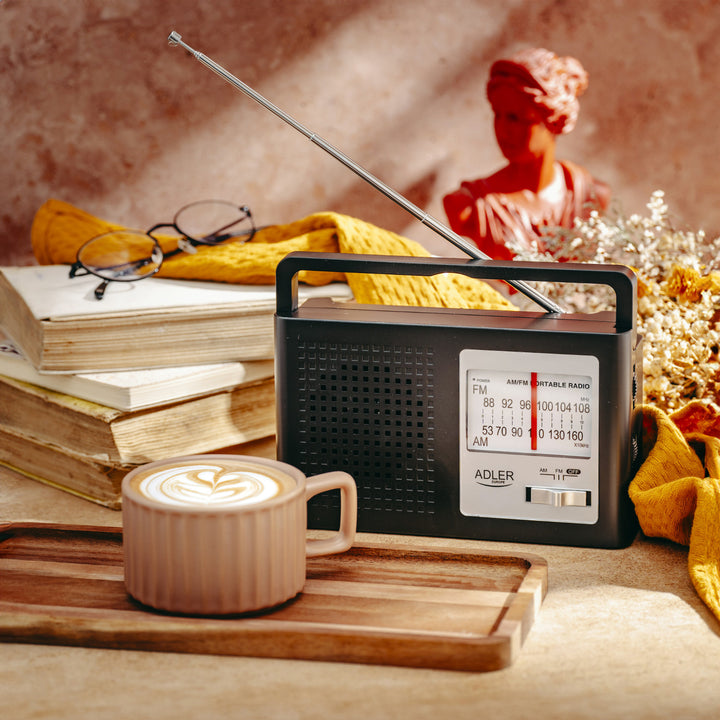 Radio Adler, portatile, AM e FM, antenna, funzionamento a rete e a batteria, AD 1909
