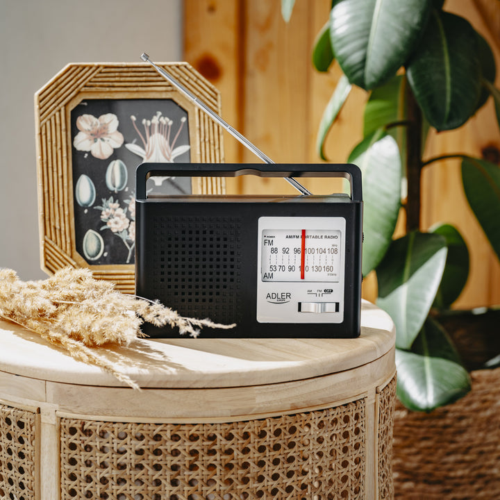 Radio Adler, portatile, AM e FM, antenna, funzionamento a rete e a batteria, AD 1909