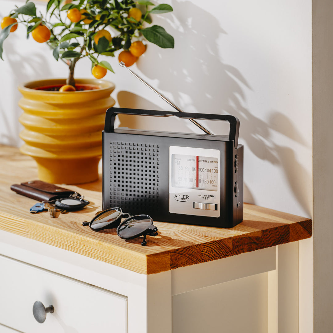 Radio Adler, portatile, AM e FM, antenna, funzionamento a rete e a batteria, AD 1909