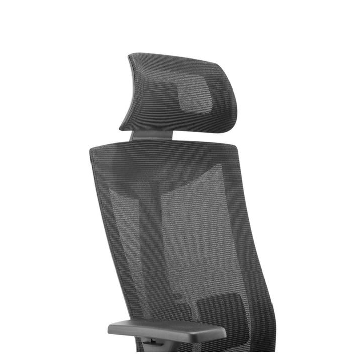 Sedia da ufficio ergonomica con ruote e supporto lombare, sedia girevole, regolabile in altezza, funzione di inclinazione dello schienale Sedia da scrivania,carico massimo 150 kg