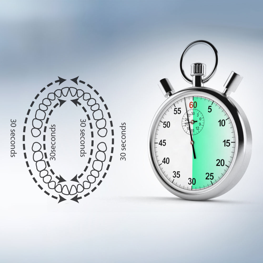 Promedix PR-740 B Spazzolino elettrico sonico con custodia da viaggio Spazzolino da denti 5 modalità di pulizia con 2 testine timer 2 minuti IPX7 Ricarica USB impermeabile Nero