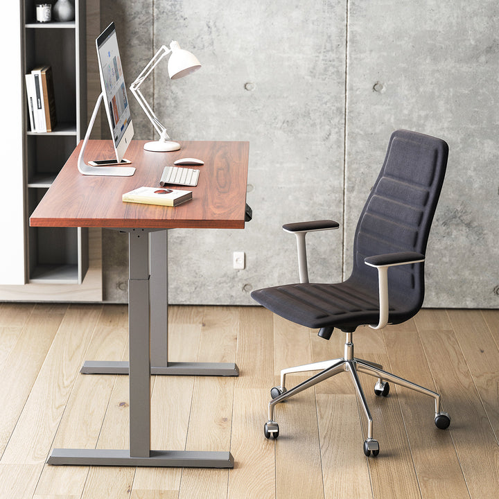 Ergo Office ER-433 Scrivania Sit-Stand Struttura elettrica regolabile in altezza fino a 80 kg Scrivania da ufficio senza piano d'appoggio
