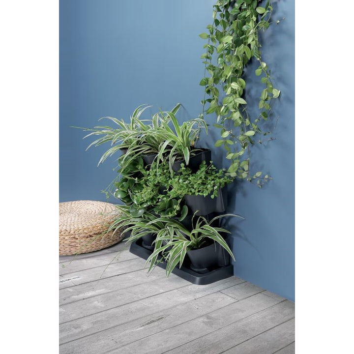 Giardino verticale verticale Prosperplast Cascade Garden antracite