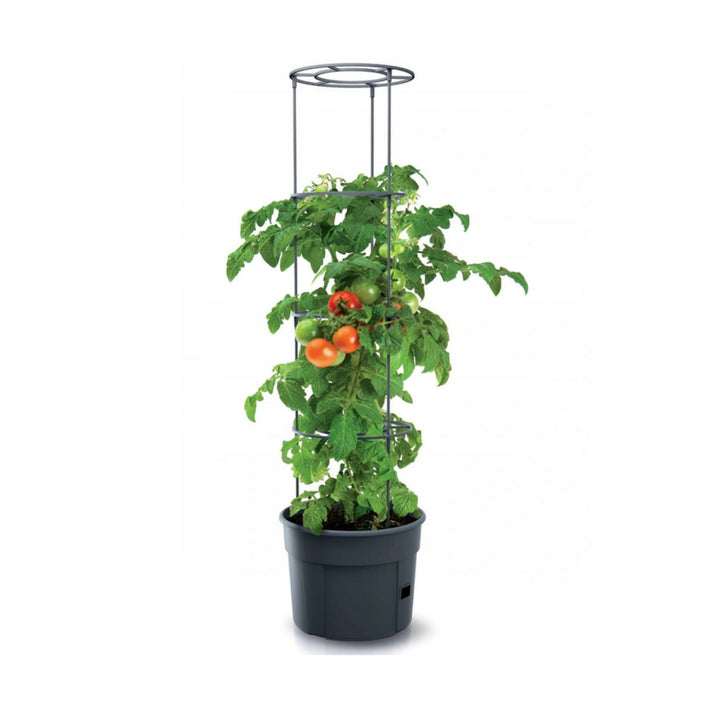 Tomato Grower IPOM400 vaso per pomodori