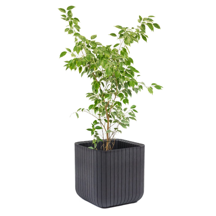 Vaso da fiori resistente ai danni e fattori atmosferici nocivi Cube Wood Planter L antracite