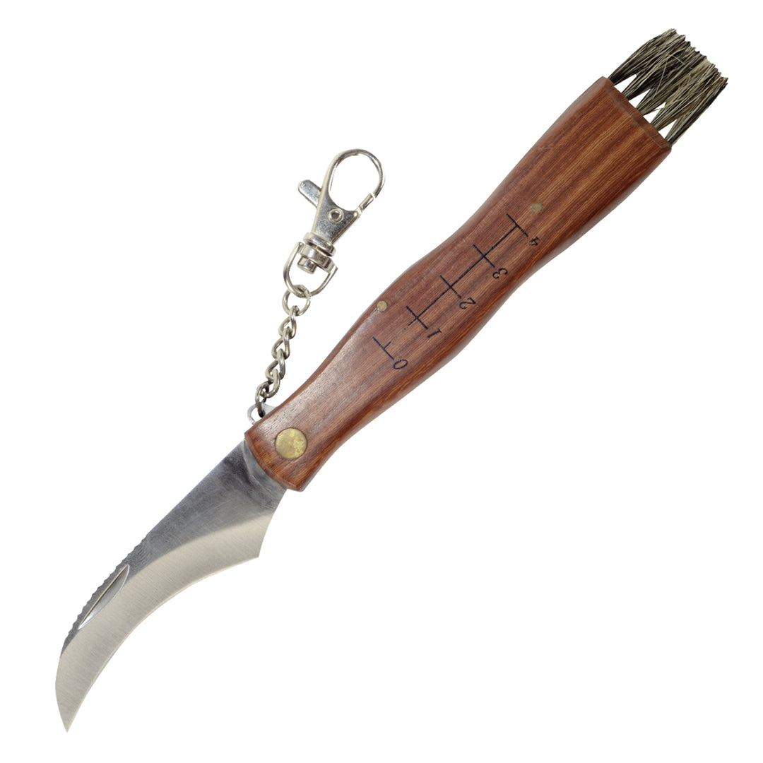 Coltello raccoglitrice di funghi Greenmill coltello da giardinaggio con pennello e metro GR5040