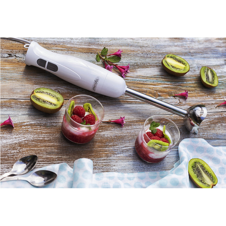 Frullatore a immersione Mesko MS 4619 con una potenza massima di 300W