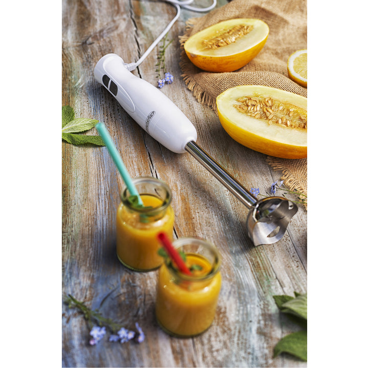 Frullatore a immersione Mesko MS 4619 con una potenza massima di 300W