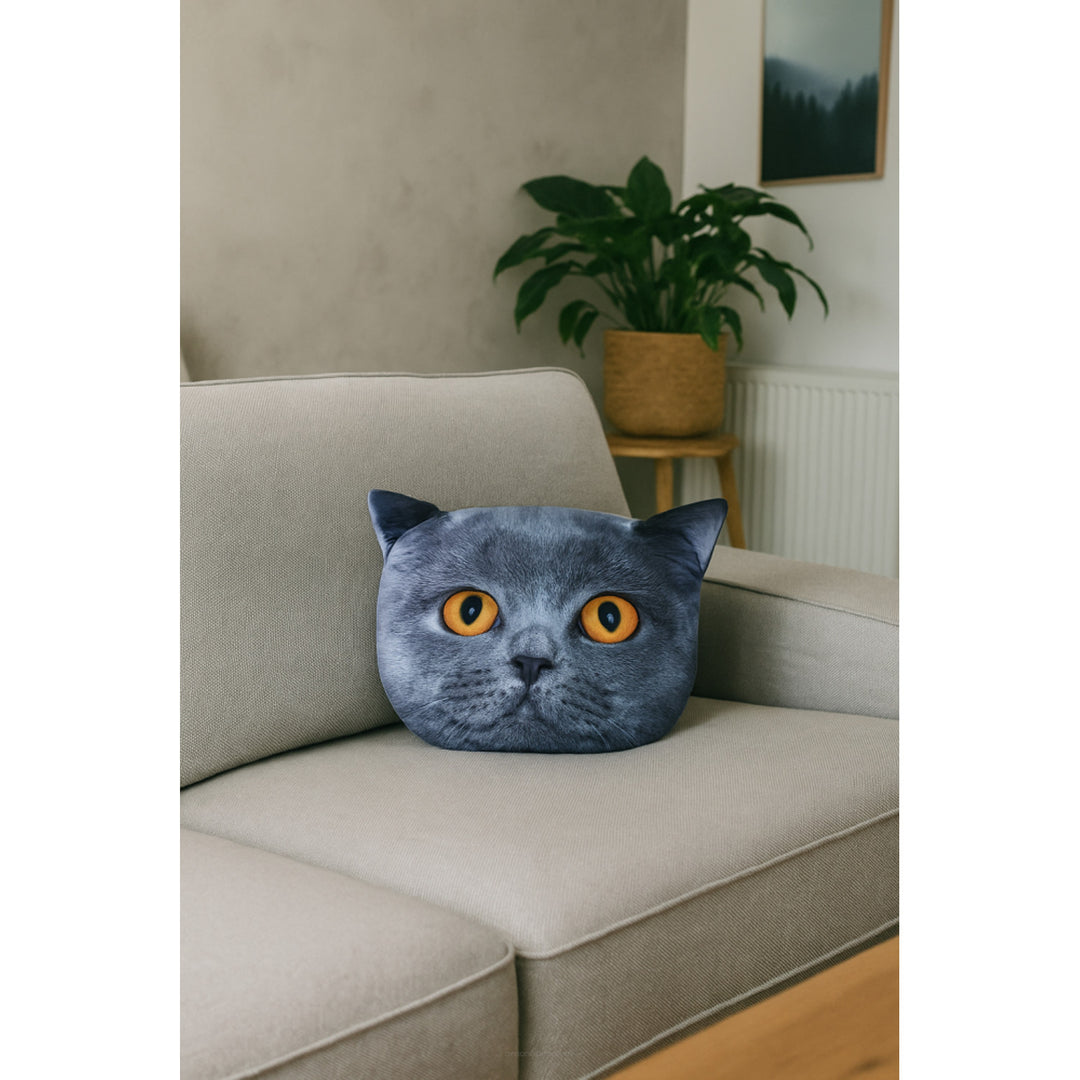 Cuscino decorativo Bertoni Cat Leon 30x45 cm, velluto, stampa gatto, inserto anallergico