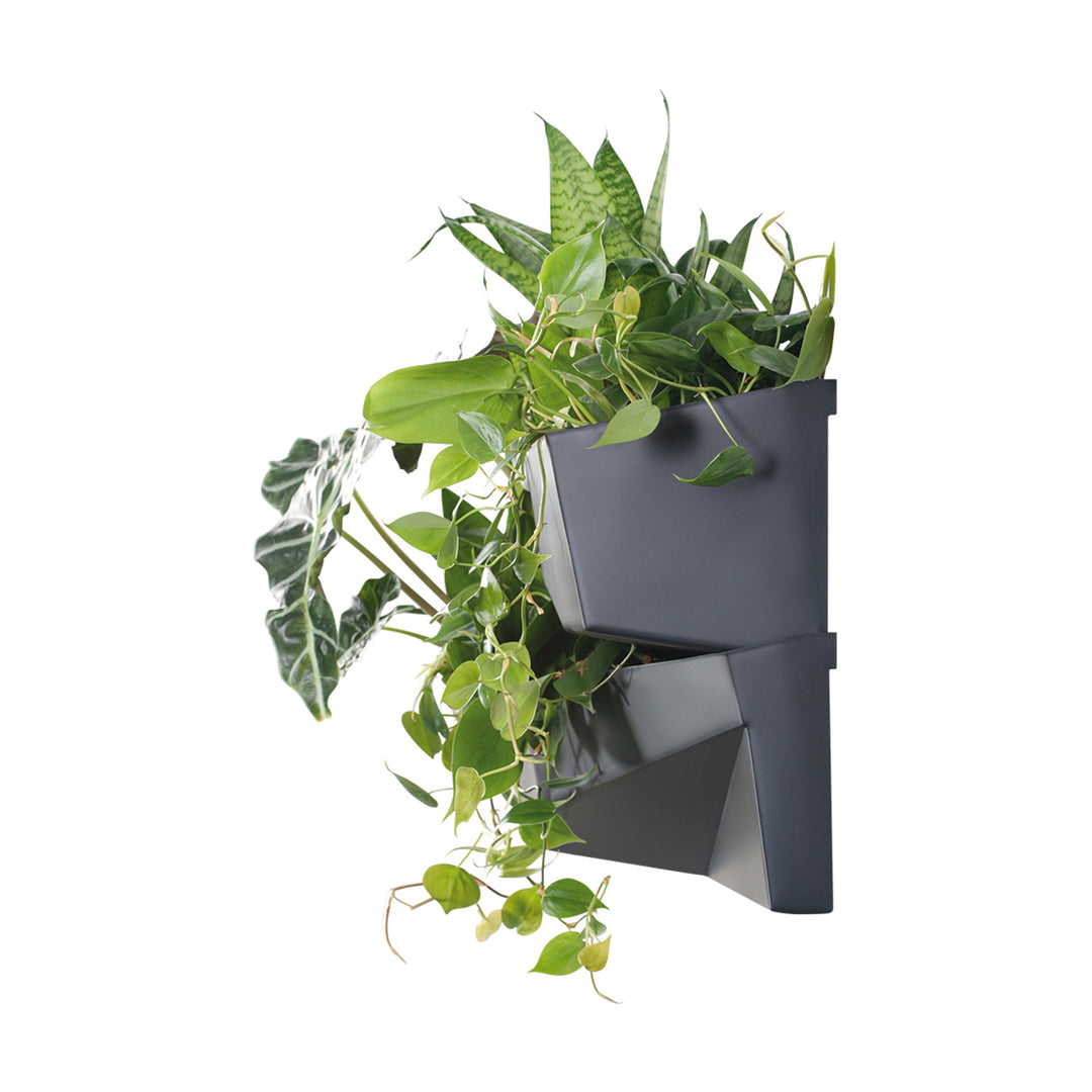 Giardino verticale Prosperplast Cascade Garden Wall IO3W800-S433