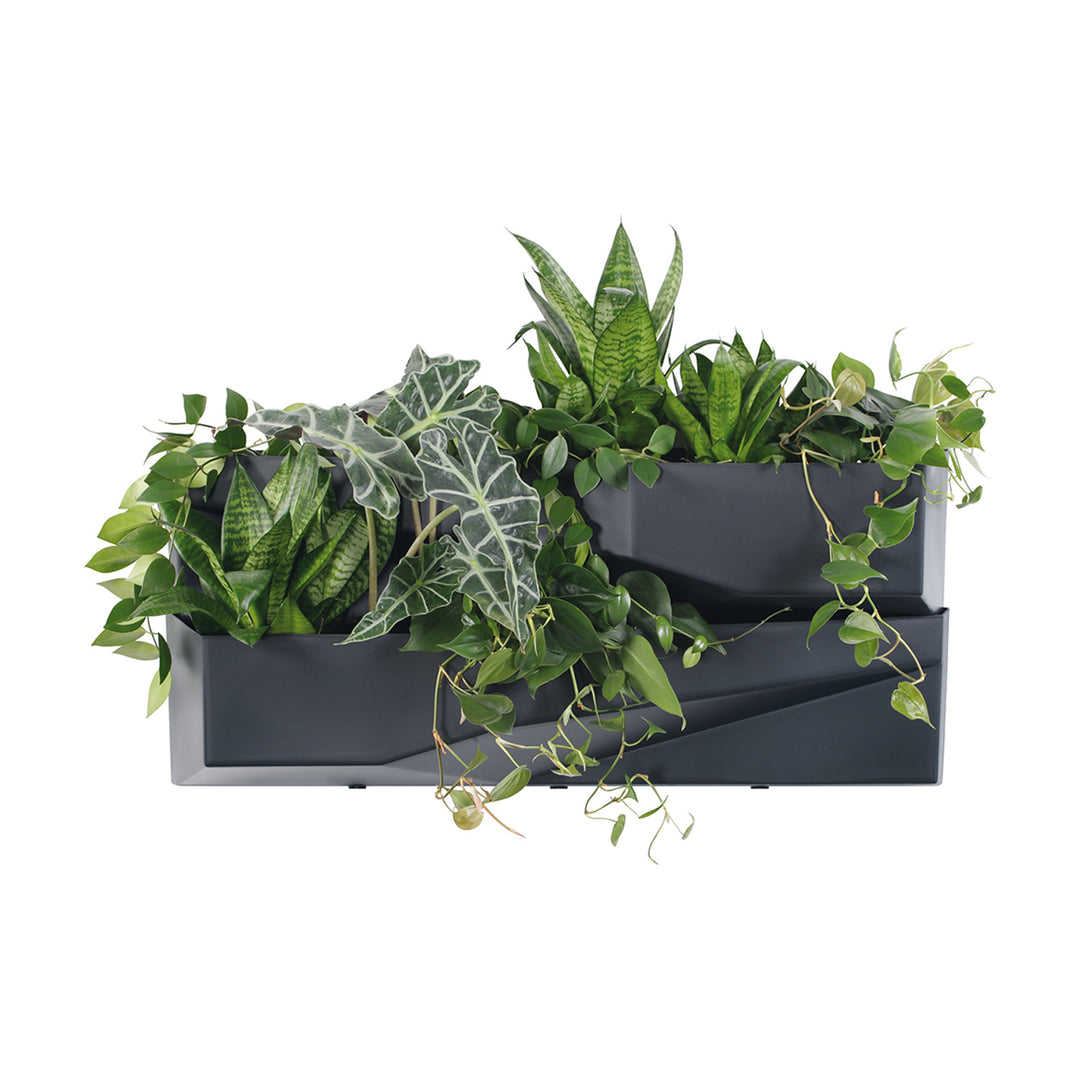 Giardino verticale Prosperplast Cascade Garden Wall IO3W800-S433