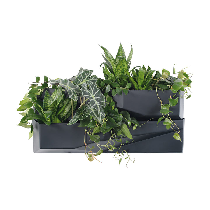 Giardino verticale Prosperplast Cascade Garden Wall IO3W800-S433