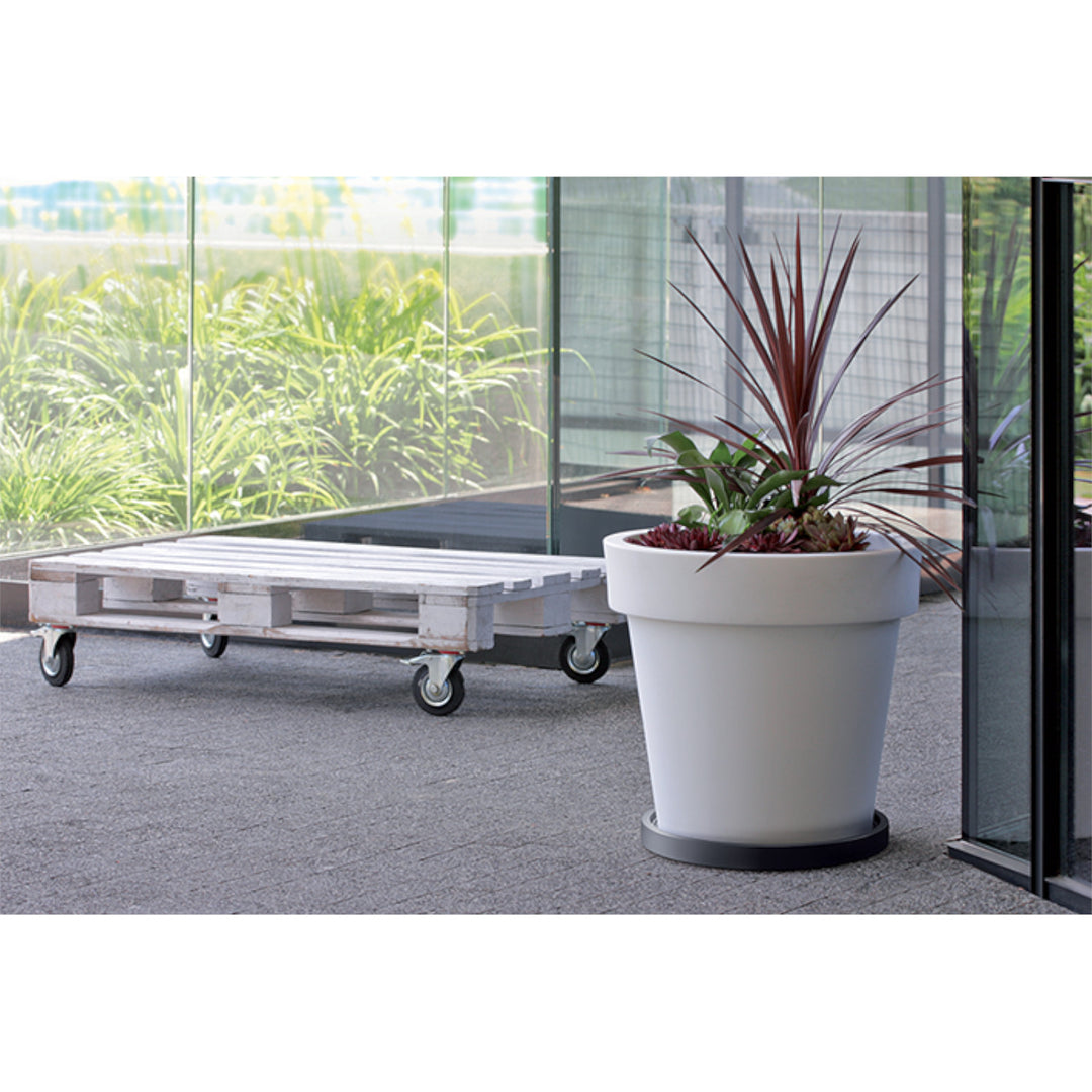 Prosperplast Piattino mobile Base rotonda IPRR450-S433
