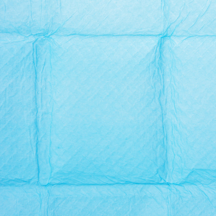GreenBlue Tappetini igienici per cani/gatti Assorbenti igienici  per imparare a fare pipì, 60x40cm, 50 pezzi, GB495
