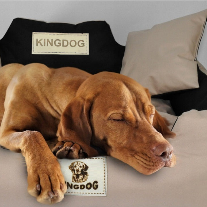 Cane grande, letto per gatti 1Cuccia 00 x 75 Grigio scuro - Kingdog taglia L