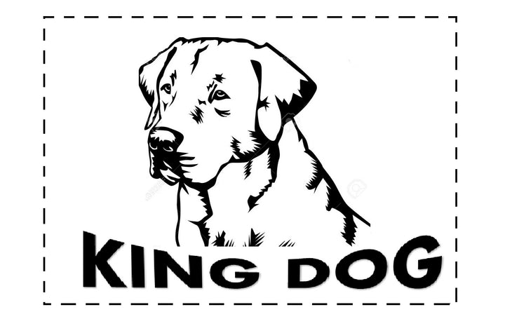 Cane grande, letto per gatti 1Cuccia 00 x 75 Grigio scuro - Kingdog taglia L