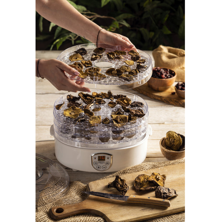 Camry CR 6659 essiccatore per funghi, erbe alimenti 550 W