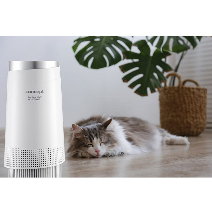Concept CA1010 Purificatore d'aria, Perfect Air Smart 3 livelli di filtrazione Filtro a carbone e HEPA Ionizzatore