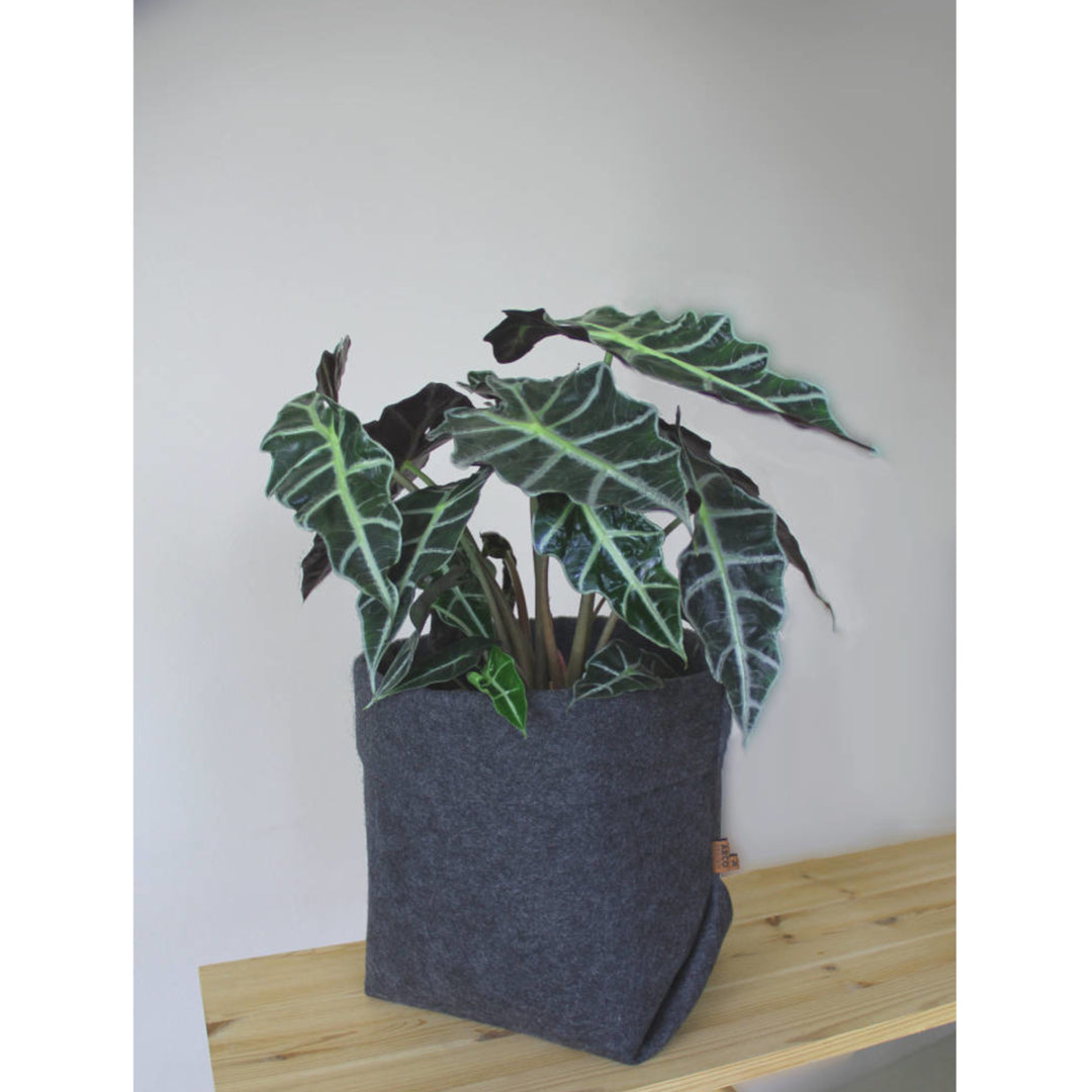 Coprivasoi Simple in feltro semplice XXL - 30 cm Lavabile