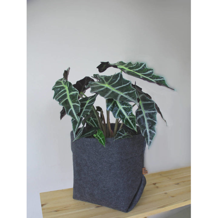 Coprivasoi Simple in feltro semplice XXL - 30 cm Lavabile