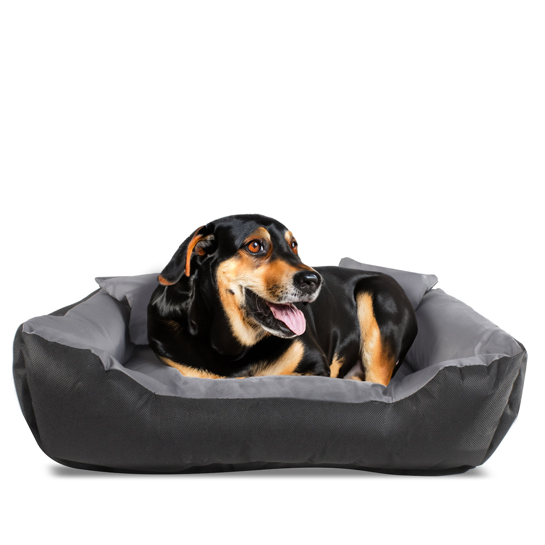 Letto per cani e gatti con cuscino Cuscino Cuccia in nylon  Letto per animali domestici Materiale impermeabile lavabile (Dimensioni interne: 40x30 / Dimensioni esterne: 55x45cm, grigio/nero)