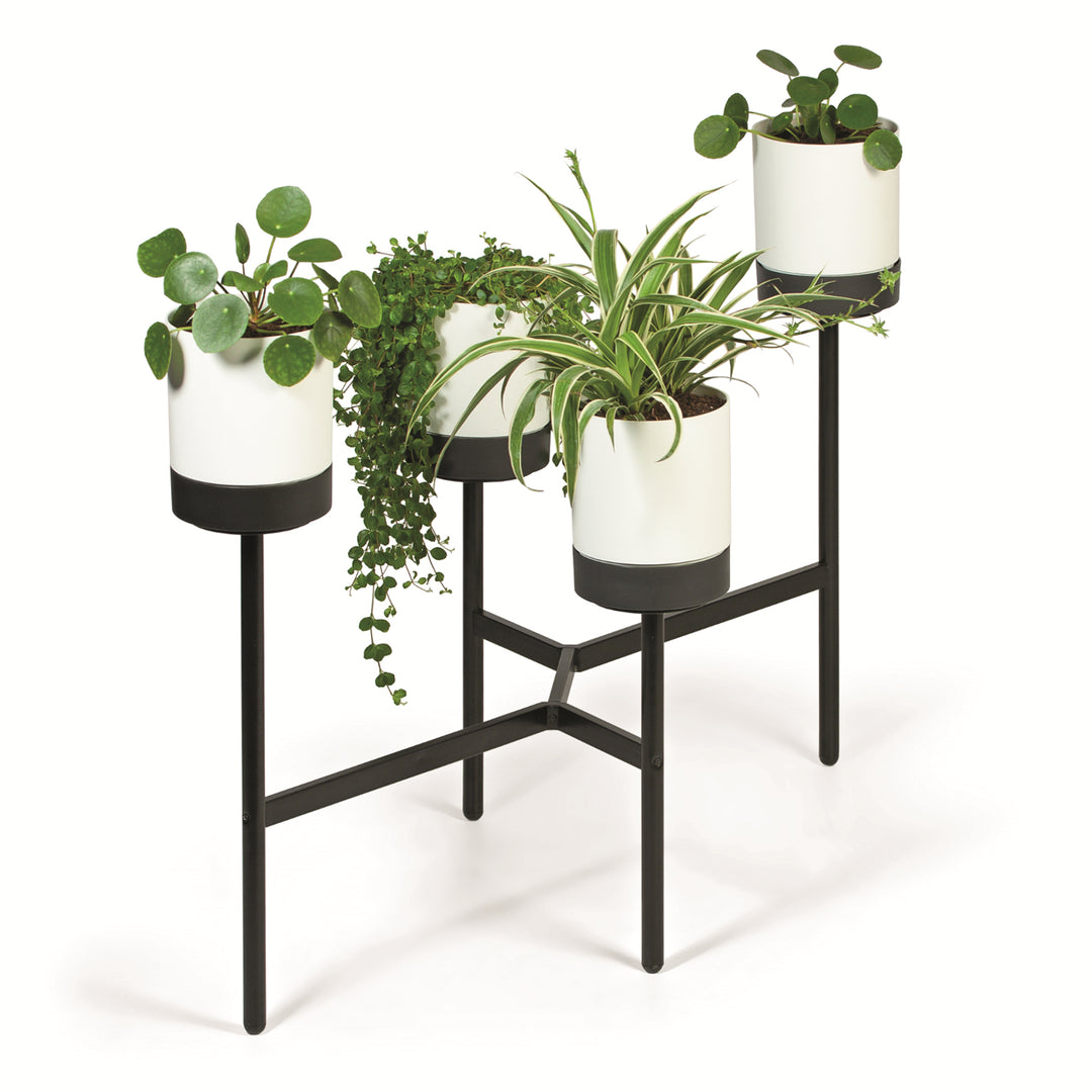 Prosperplast Bloomie Stand Portafiori con 4 vasi Portafiori 125x55x81,5cm Struttura in metallo Calcestruzzo