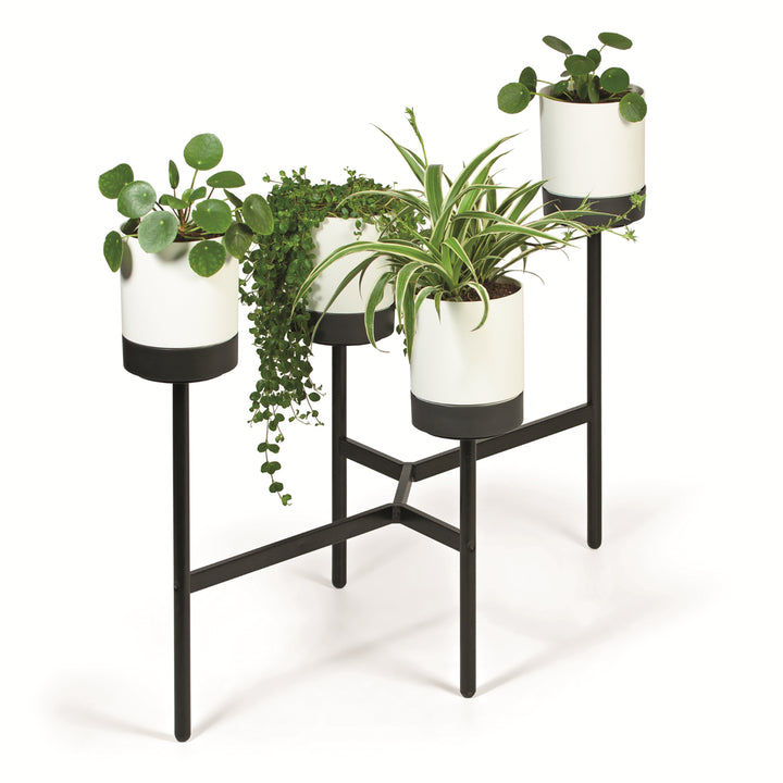 Prosperplast Bloomie Stand Portafiori con 4 vasi Portafiori 125x55x81,5cm Struttura in metallo Calcestruzzo