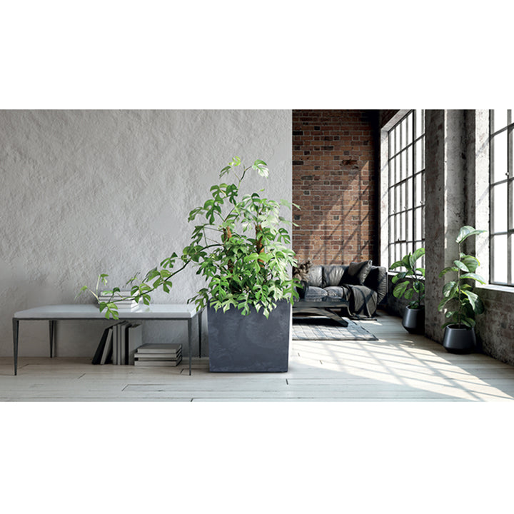Urbi Case Vaso da fiori effetto cemento con vaso interno Vaso per piante Vaso per fiori per interni ed esterni Rettangolare in plastica (77x23,5x68,7cm, Antracite)